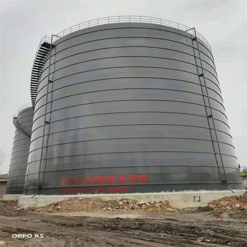 金东3万吨大型钢板库