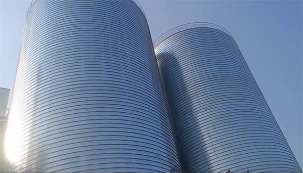 金东2座混凝土高架卷板仓